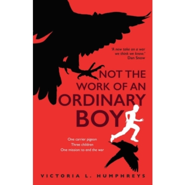 Not the Work of an Ordinary Boy (häftad, eng)