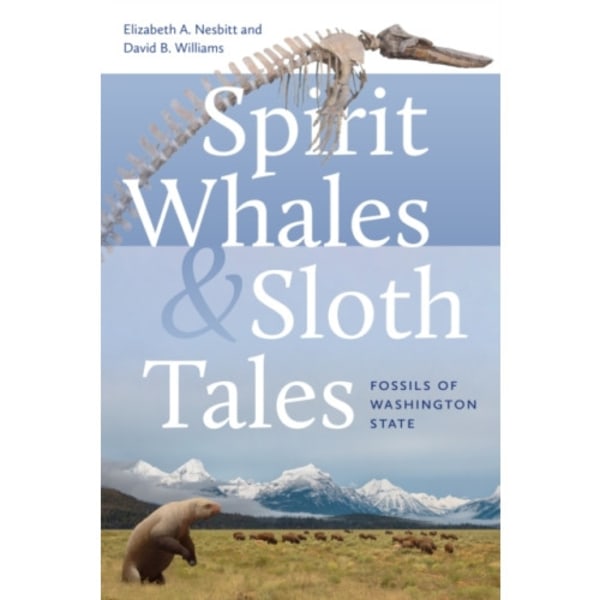 Spirit Whales and Sloth Tales (häftad, eng)