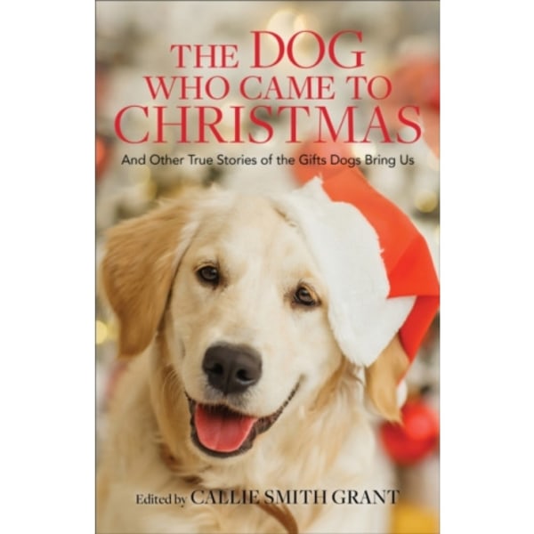 The Dog Who Came to Christmas – And Other True Stories of the Gifts Dogs Bring Us (häftad, eng)