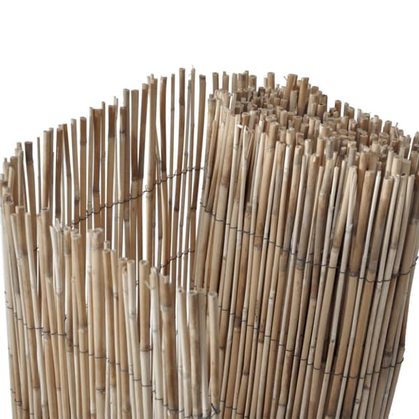Insynsskydd 500x80 cm vass