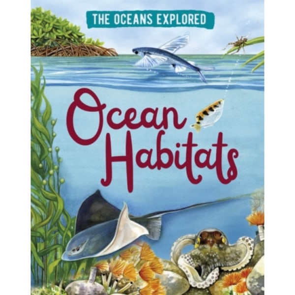 The Oceans Explored: Ocean Habitats (inbunden, eng)