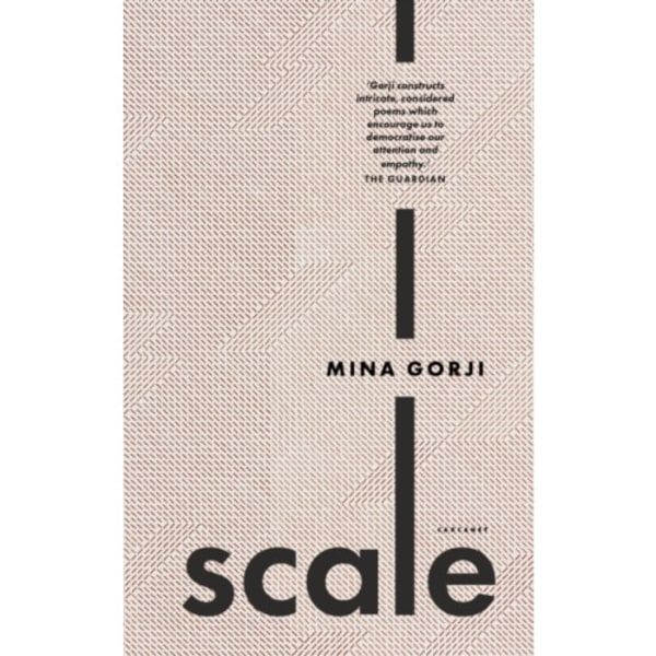 Scale (häftad, eng)