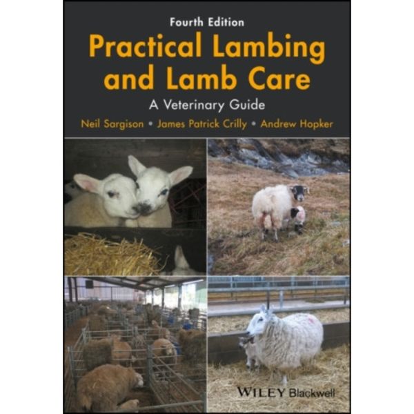 Practical Lambing and Lamb Care (häftad, eng)