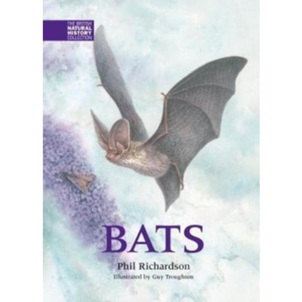 Bats (inbunden, eng)