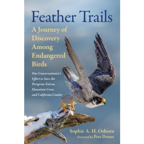 Feather Trails (inbunden, eng)