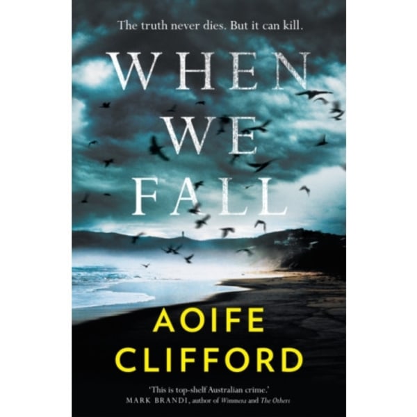 When We Fall (inbunden, eng)