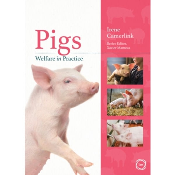 Pigs Welfare in Practice (häftad, eng)