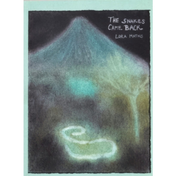 The Snakes Came Back (häftad, eng)