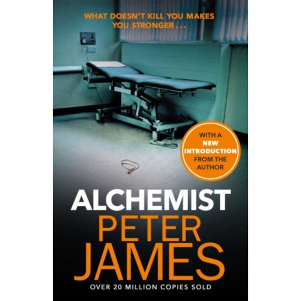 Alchemist (häftad, eng)