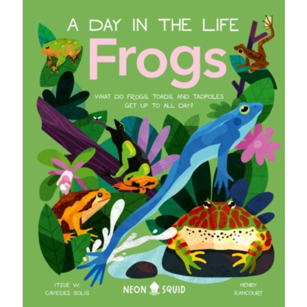 Frogs (A Day in the Life) (inbunden, eng)