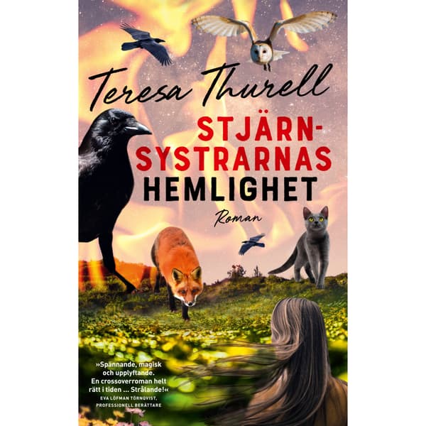 Stjärnsystrarnas hemlighet (bok, kartonnage)