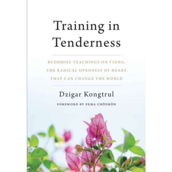 Training in Tenderness (häftad, eng)