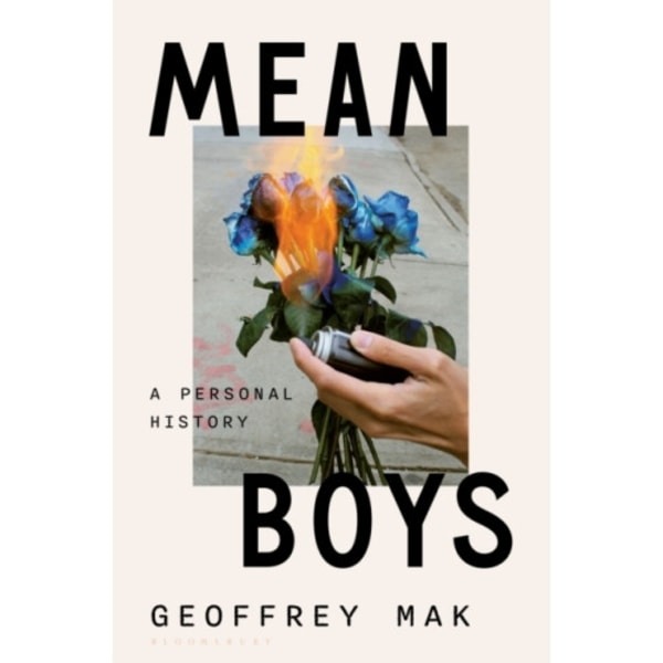 Mean Boys (inbunden, eng)