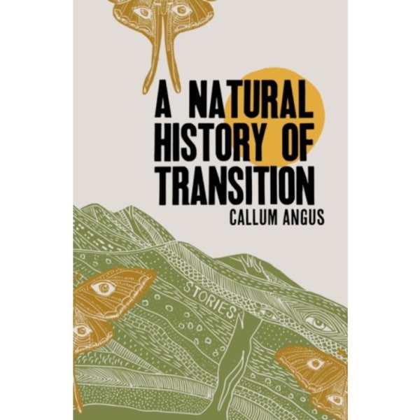 A Natural History of Transition (häftad, eng)