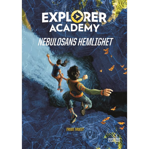 Nebulosans hemlighet (bok, kartonnage)