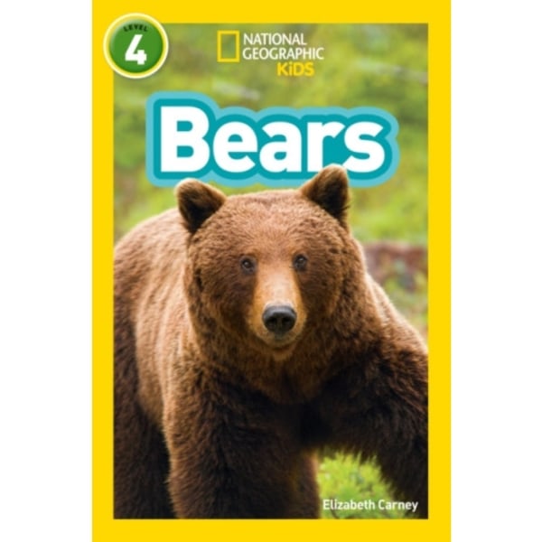 Bears (häftad, eng)