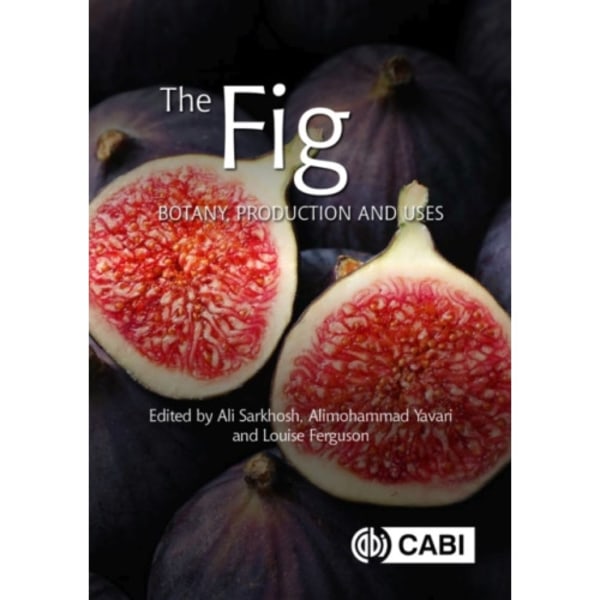 The Fig (inbunden, eng)