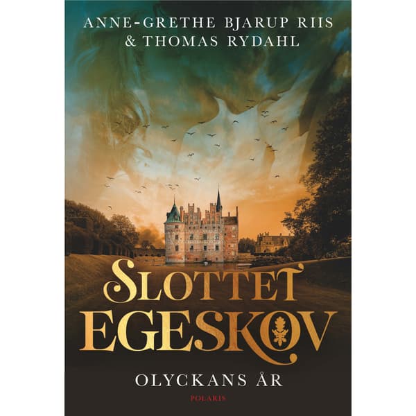 Olyckans år (inbunden)