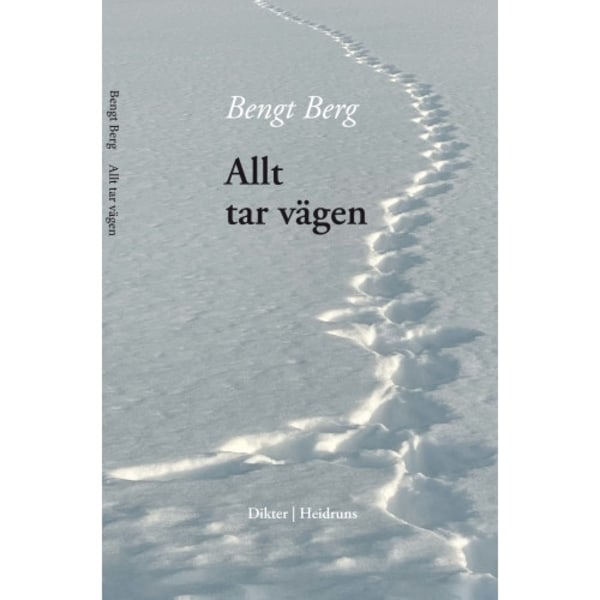 Allt tar vägen (bok, danskt band)