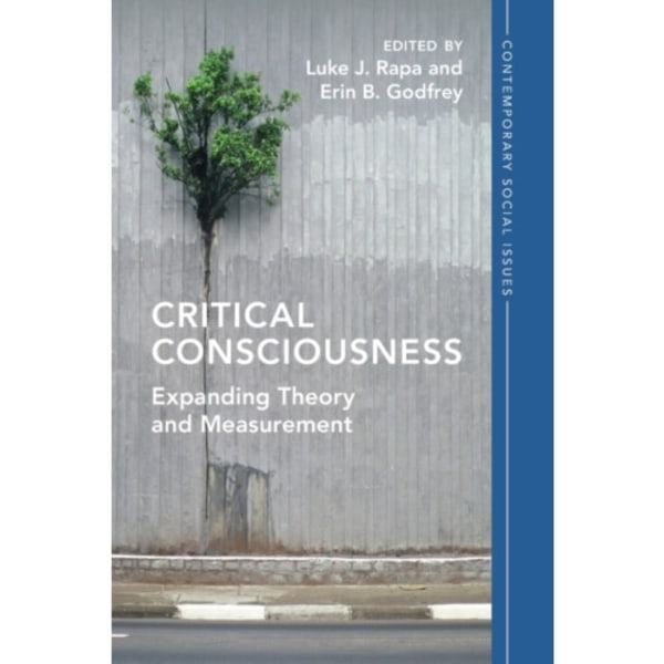 Critical Consciousness (häftad, eng)