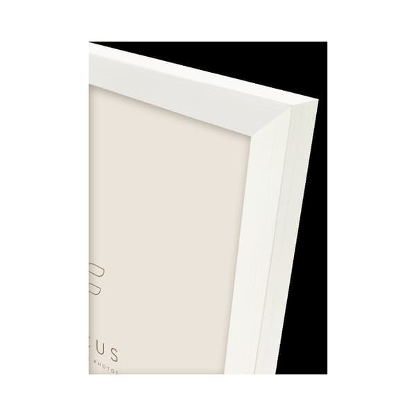 Focus Willow White 40x50