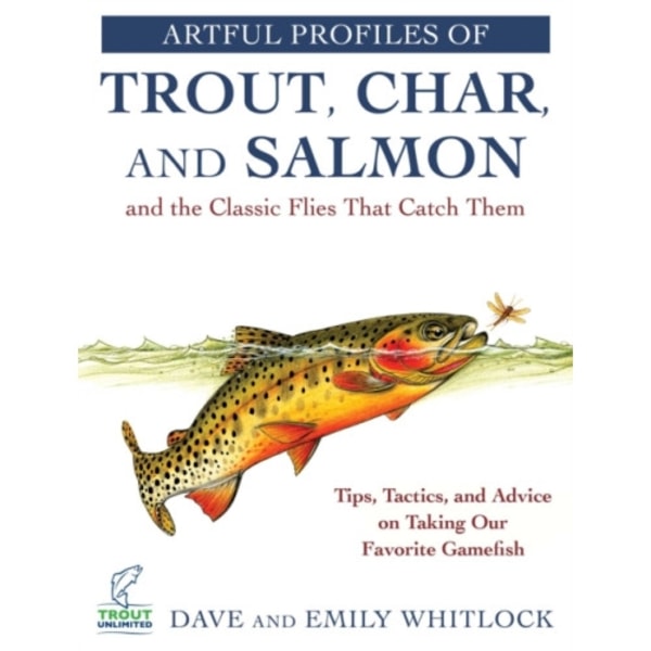 Artful Profiles of Trout, Char, and Salmon and the Classic Flies That Catch Them (häftad, eng)