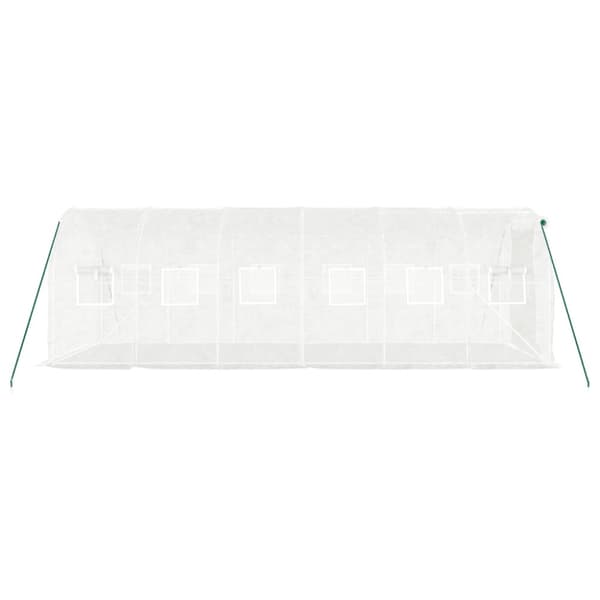 Växthus med stålram vit 12 m² 6x2x2 m