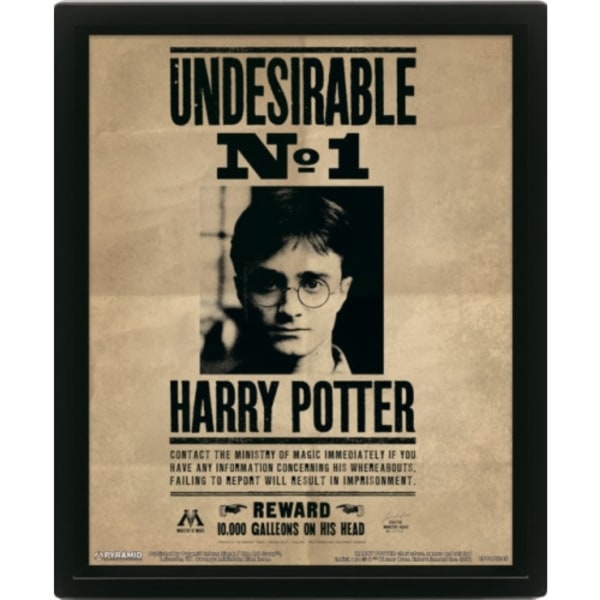 Harry Potter (Harry & Sirius) Framed 10 x 8" 3D Lenticular Poster (Framed)