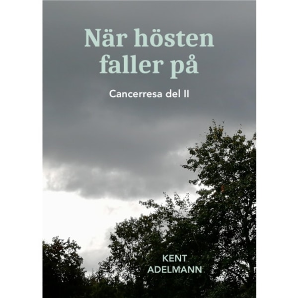 När hösten faller på : cancerresa del II (bok, danskt band)
