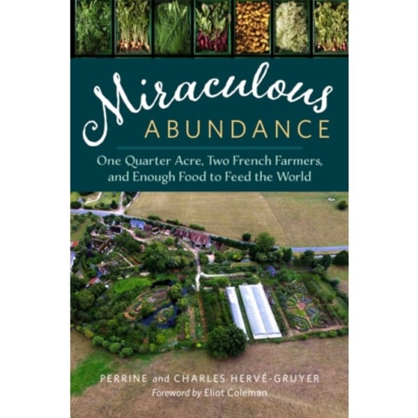 Miraculous Abundance (häftad, eng)