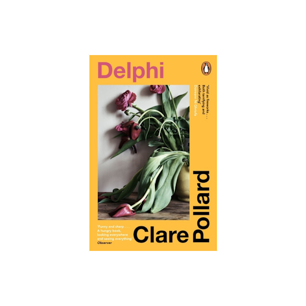 Delphi (pocket, eng)