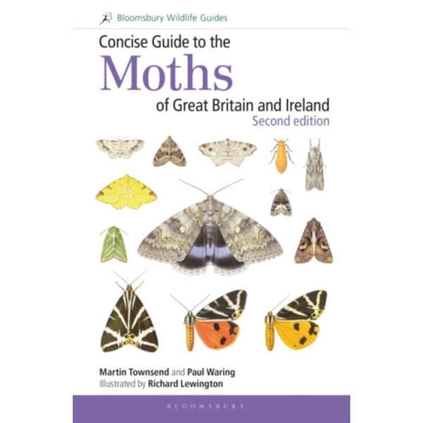 Concise Guide to the Moths of Great Britain and Ireland: Second edition (bok, spiral, eng)