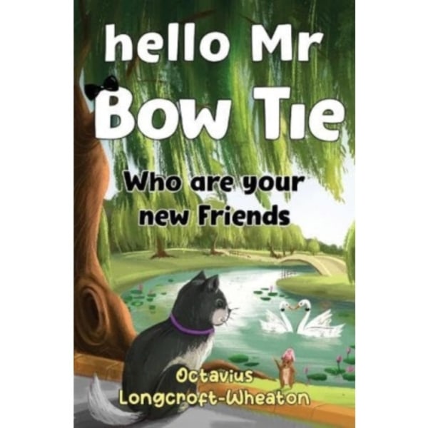 Hello Mr Bow Tie, Who are your new Friends (häftad, eng)