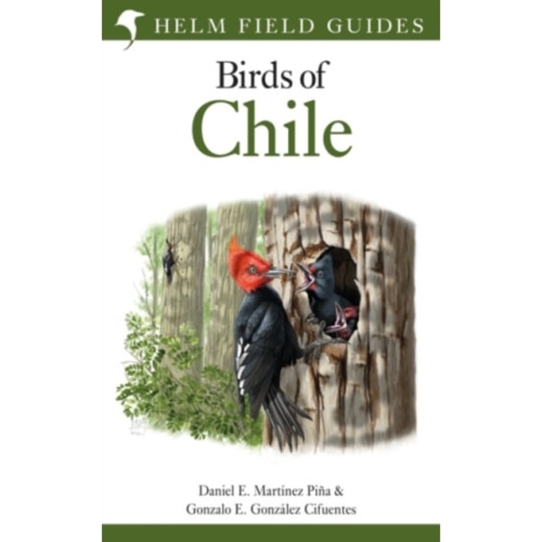 Field Guide to the Birds of Chile (inbunden, eng)