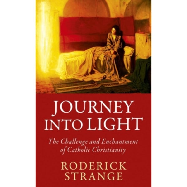 Journey into Light (häftad, eng)