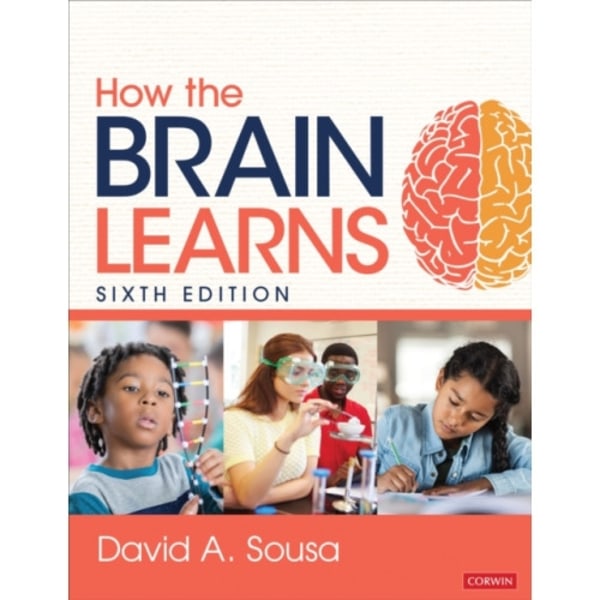 How the Brain Learns (häftad, eng)