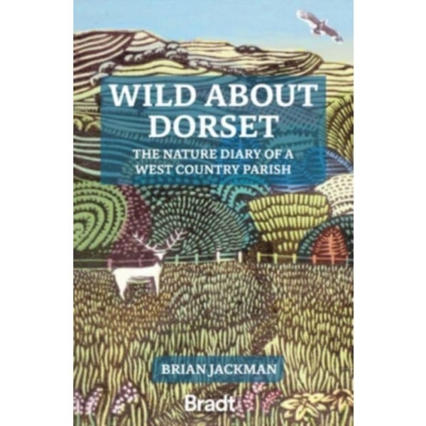 Wild About Dorset (häftad, eng)