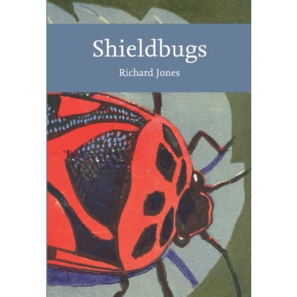 Shieldbugs (häftad, eng)