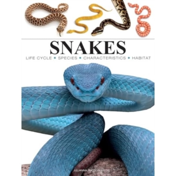 Snakes (häftad, eng)