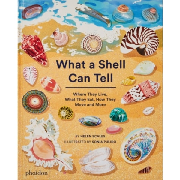What A Shell Can Tell (inbunden, eng)