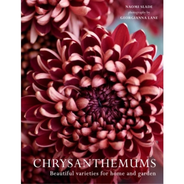 Chrysanthemums (inbunden, eng)