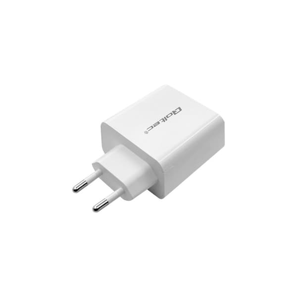 Qoltec 51718 strömadapter - USB-C, USB - 45 watt
