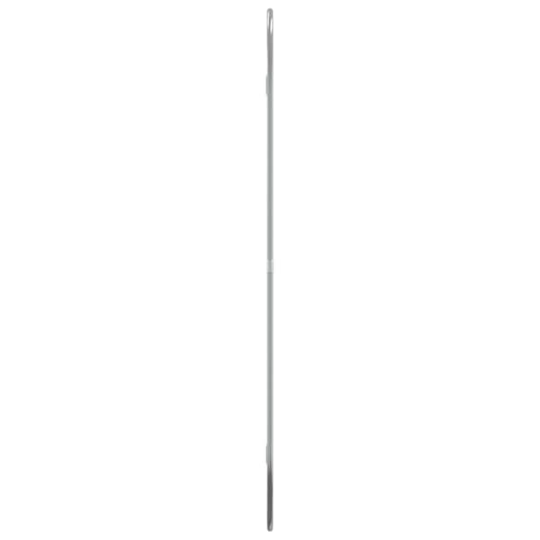 Väggspegel silver 70x45 cm