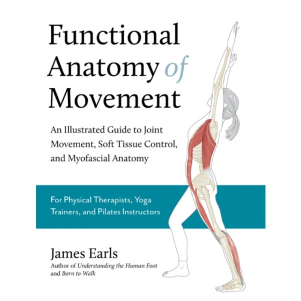 Functional Anatomy of Movement (häftad, eng)