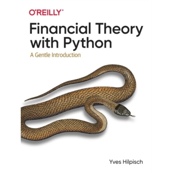 Financial Theory with Python (häftad, eng)