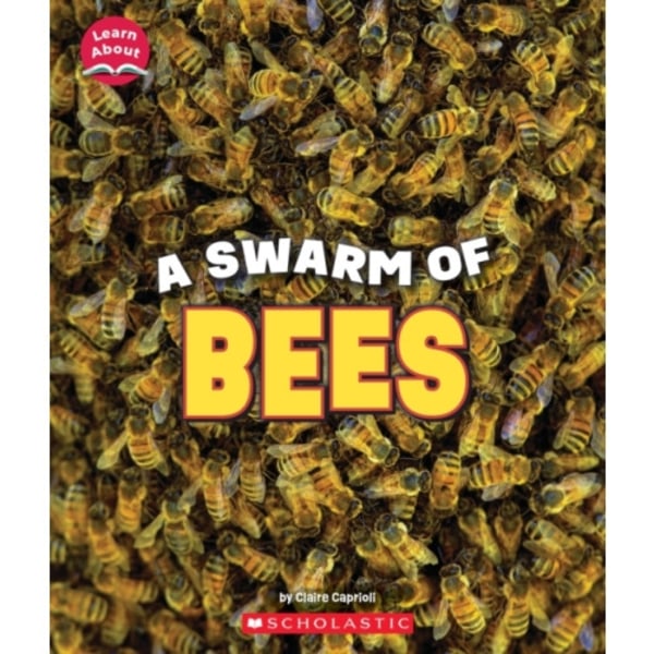 A Swarm of Bees (Learn About: Animals) (häftad, eng)