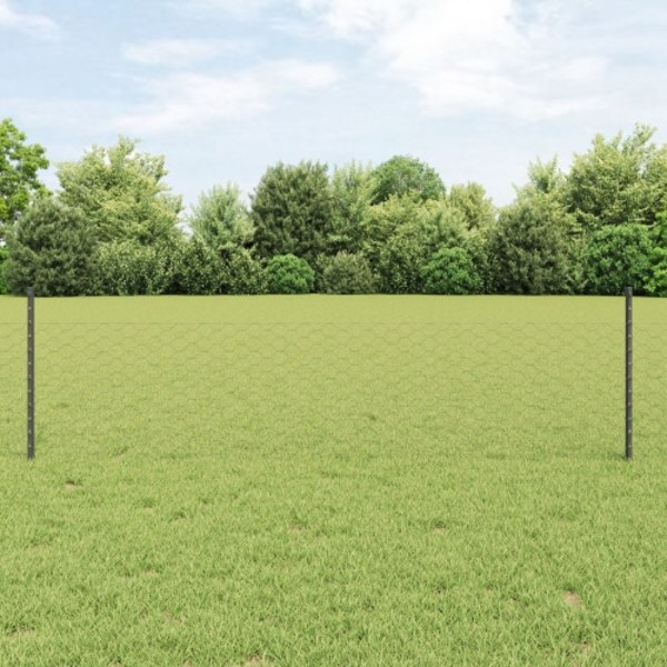 Hexagonalt Trädgårdsstängselset Set med 2 Grå Stål 25 x 0.5m