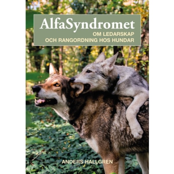 Alfasyndromet : om ledarskap och rangordning hos hundar (häftad)
