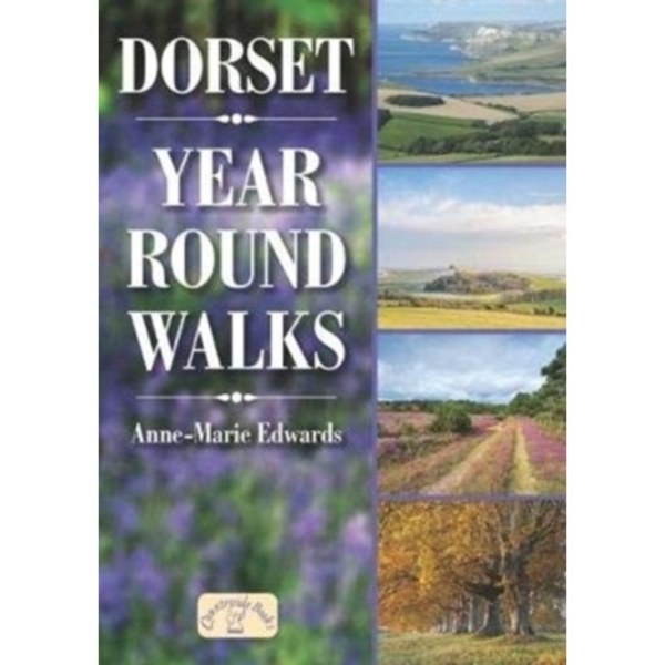 Dorset Year Round Walks (häftad, eng)