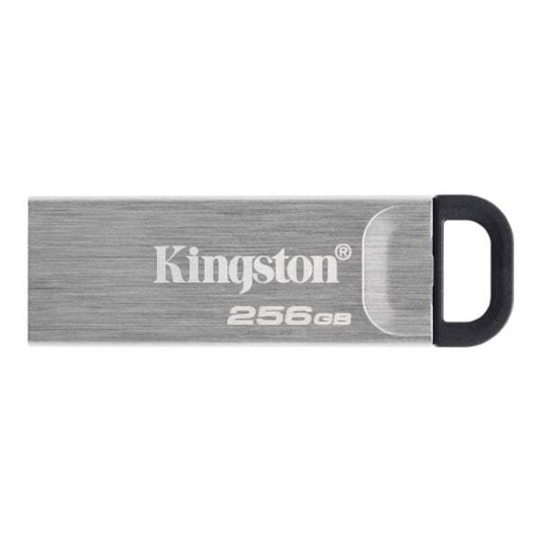Kingston DataTraveler Kyson - USB flash-enhet - 256 GB Silver